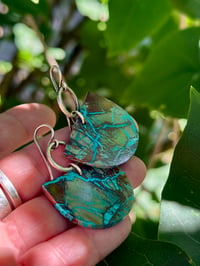 Image 22 of Crysocolla Sterling Silver earrings n4