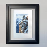 Image 1 of Sentinel Pine