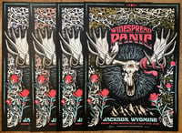 Image 1 of Widespread Panic 7/5/2026