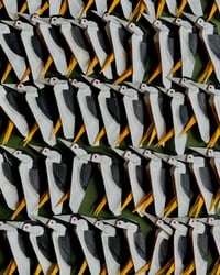 Image 4 of BLACK-CROWNED NIGHT HERON ORIGAMI CARD (Fundraiser for NYC Bird Alliance)