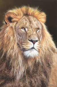 Mufasa