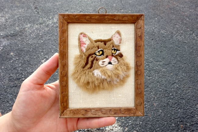 CAT PORTRAIT