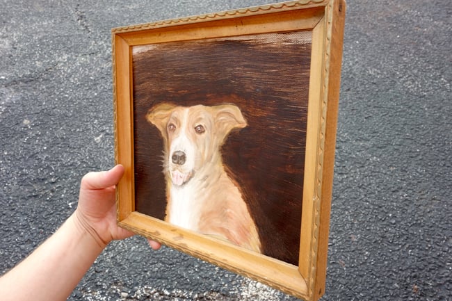 DOG PORTRAIT