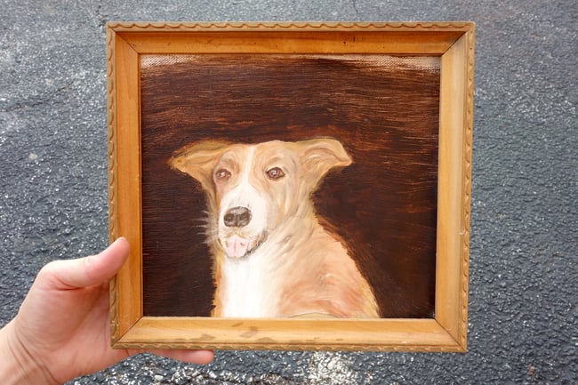 DOG PORTRAIT