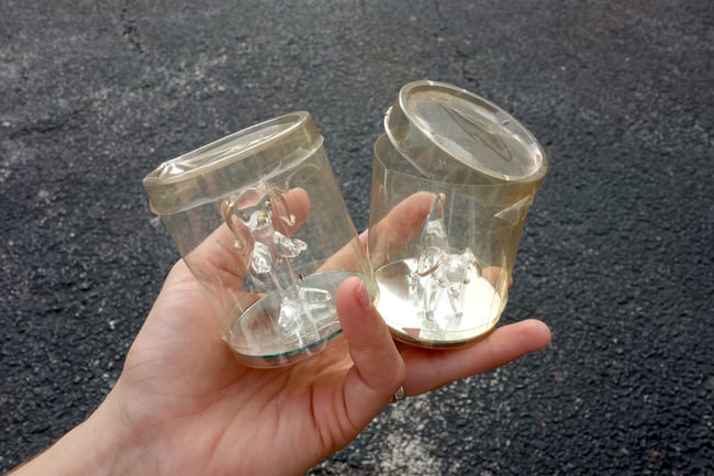 GLASS DOGS