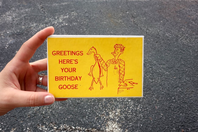 BIRTHDAY GOOSE