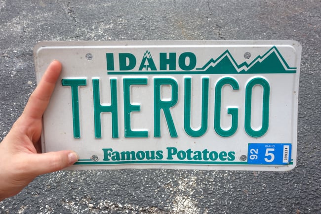 THERUGO