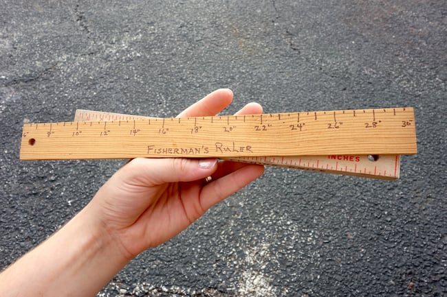 FISHERMANS RULERS