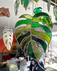 Image 1 of Monstera Leaf Stained Glass Suncatcher (Large) – Patchwork Green