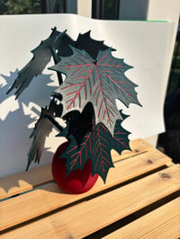 Image 1 of Maple Leaf Coasters