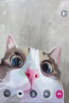 Cat Call