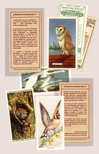 (Pocket) Ornithomancy