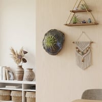 Image 1 of Blue and Earth-Toned Ceramic Wall Hanging Air Plant Holder