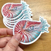 Image 2 of Chambered Nautilus Sticker