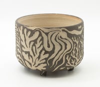 Image 3 of Carved planter: Seaweed