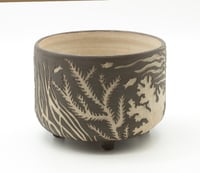 Image 2 of Carved planter: Seaweed