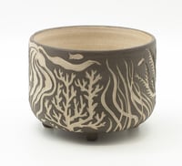Image 1 of Carved planter: Seaweed