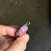 Image of Tangerine Fuchsia Summer Pendant