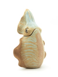 Image 1 of Cuttlefish Bottle 1