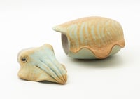 Image 5 of Cuttlefish Bottle 1