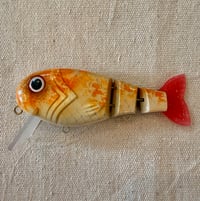 Image 1 of TB Wake Walker Clone ~ Koi