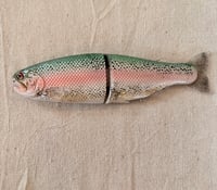Image 1 of Hinko Trout 9”
