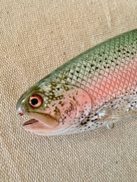 Image 4 of Hinko Trout 9”