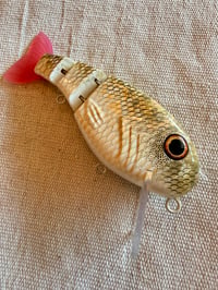 Image 2 of TB Wake Walker Clone ~ Gold Koi