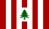 Pine Tree Stripes Holographic Sticker