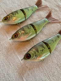Image 1 of Perch Wee Shad