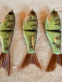 Image 3 of Perch Wee Shad