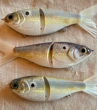 Image 2 of 7” GrandLake Gizzard Shad