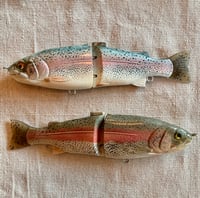 Image 1 of 7” Rainbow Trout 