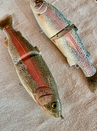 Image 2 of 7” Rainbow Trout 
