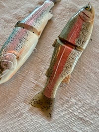Image 3 of 7” Rainbow Trout 
