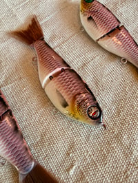 Image 2 of 5” Wee Shad ~ Raspberry Truffle
