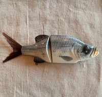 Image 1 of 8” Crappie Glide Bait