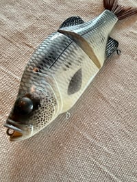 Image 3 of 8” Crappie Glide Bait