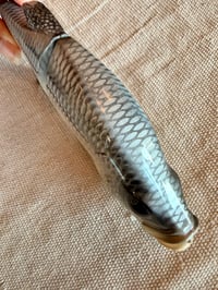Image 5 of 8” Crappie Glide Bait