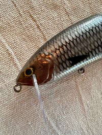 Image 3 of Silver Herring~ DRT Clone Glide Bait