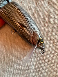 Image 4 of Silver Herring~ DRT Clone Glide Bait