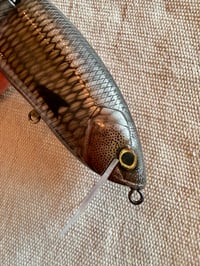 Image 5 of Silver Herring~ DRT Clone Glide Bait