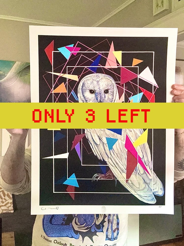 Image of 'Axiom' 17"x22" Test Print _