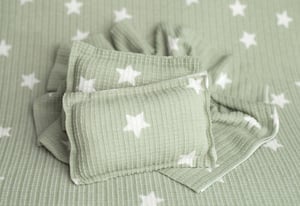 Image of Twinkle Plush  Pillow