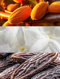 Image 1 of No12 - Floral/Amber