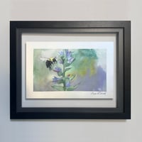 Image 1 of Summer Buzz