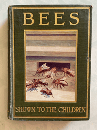 Image 1 of Bees Shown to the Children