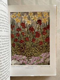 Image 7 of Gardens Shown to the Children
