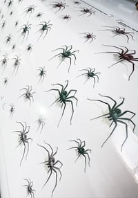 Image 4 of Spider Sticker Sheet