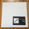 AARON DILLOWAY & C. SPENCER YEH - THE SQUID TEST PRESSING LP